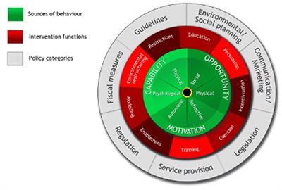 Understanding Farmers' Behavior and Their Decision-Making Process in the Context of Cattle Diseases: A Review of Theories and Approaches